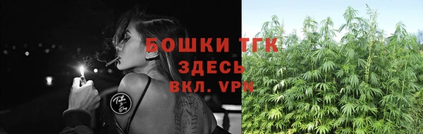 МДПВ Кукмор