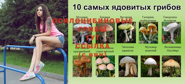 гидропоника Кулебаки