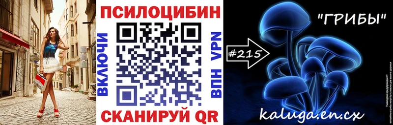гидра tor  Питкяранта  Псилоцибиновые грибы мухоморы  хочу наркоту 